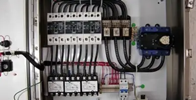 Electrical panel installation with organized circuit breakers and wiring in Tampa, FL