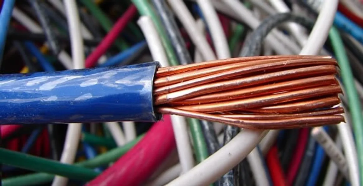 electrical wiring services showing exposed copper conductors and cable preparation in Tampa, FL
