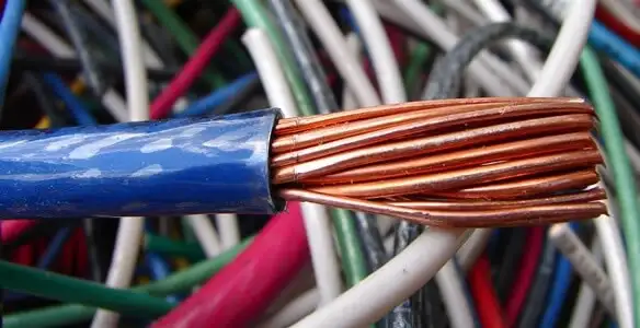 electrical wiring services showing exposed copper conductors and cable preparation in Tampa, FL