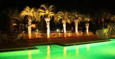 landscape lighting installation services illuminating outdoor recreational areas in Tampa, FL