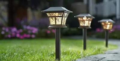 landscape lighting installation services with professionally installed pathway lights in Tampa, FL