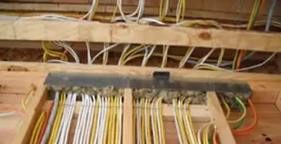 new construction wiring services with organized electrical rough-in performed by licensed electricians in Tampa, FL